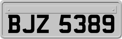 BJZ5389