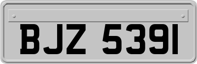BJZ5391
