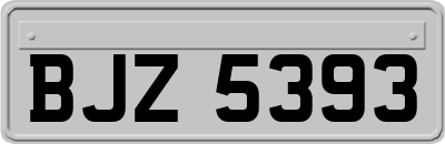BJZ5393