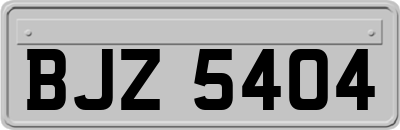BJZ5404