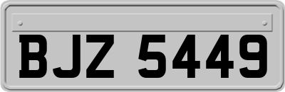 BJZ5449