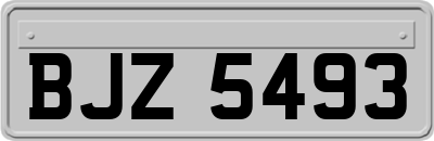 BJZ5493