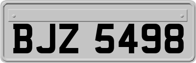 BJZ5498