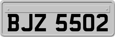BJZ5502