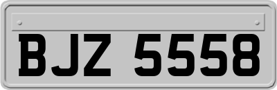 BJZ5558
