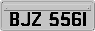 BJZ5561