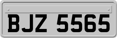 BJZ5565