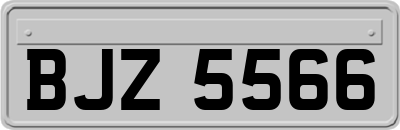 BJZ5566