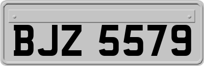 BJZ5579