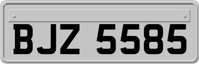 BJZ5585