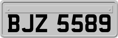 BJZ5589