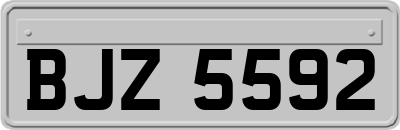 BJZ5592