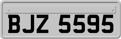 BJZ5595