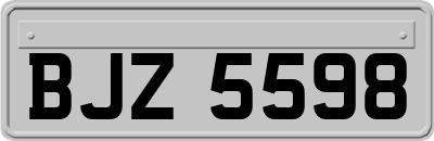 BJZ5598