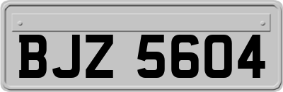 BJZ5604