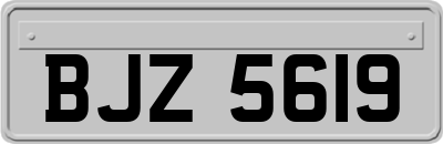 BJZ5619