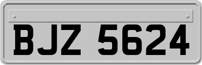 BJZ5624
