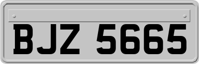 BJZ5665