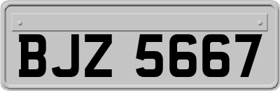 BJZ5667