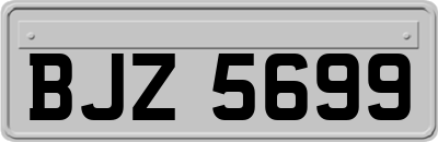 BJZ5699