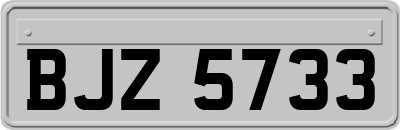 BJZ5733