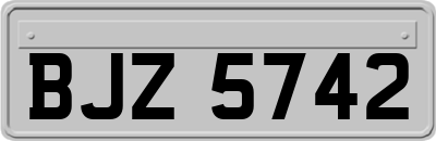 BJZ5742