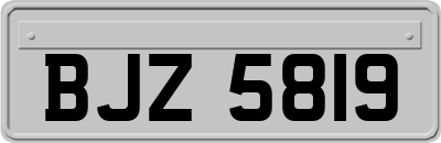 BJZ5819