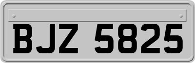 BJZ5825