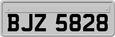 BJZ5828