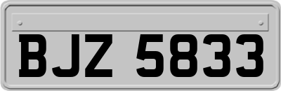 BJZ5833