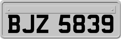 BJZ5839