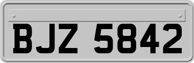 BJZ5842