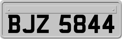 BJZ5844