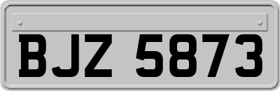 BJZ5873