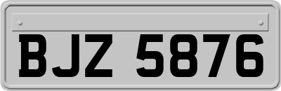 BJZ5876