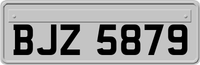 BJZ5879