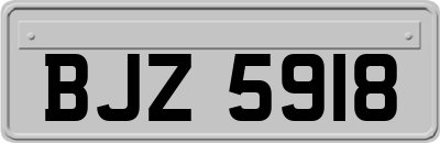 BJZ5918