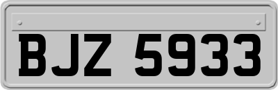 BJZ5933