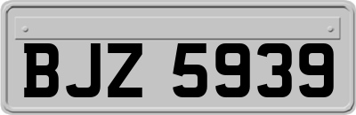 BJZ5939