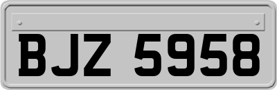 BJZ5958