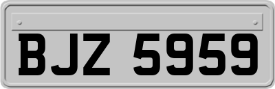 BJZ5959
