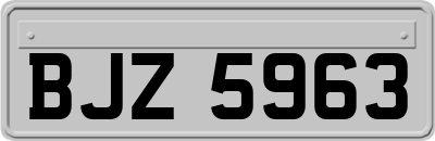 BJZ5963