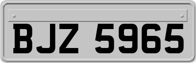 BJZ5965