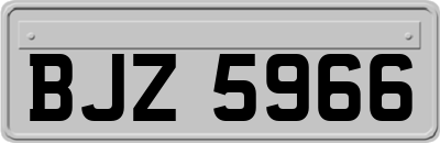BJZ5966
