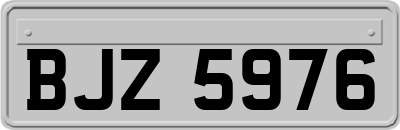BJZ5976