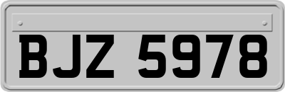 BJZ5978