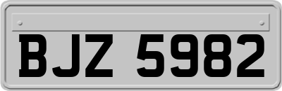 BJZ5982