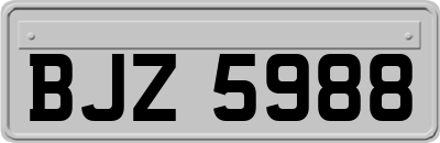 BJZ5988