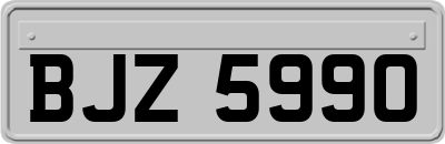 BJZ5990