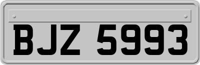 BJZ5993